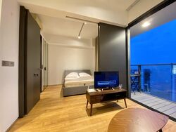 Skysuites@Anson (D2), Apartment #501985361